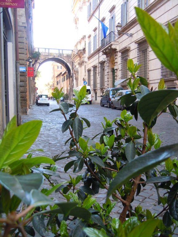 Via Giulia Apartment Roma Dış mekan fotoğraf